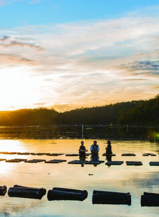 Captain Sponge's Magical Oyster Tour - Pambula River